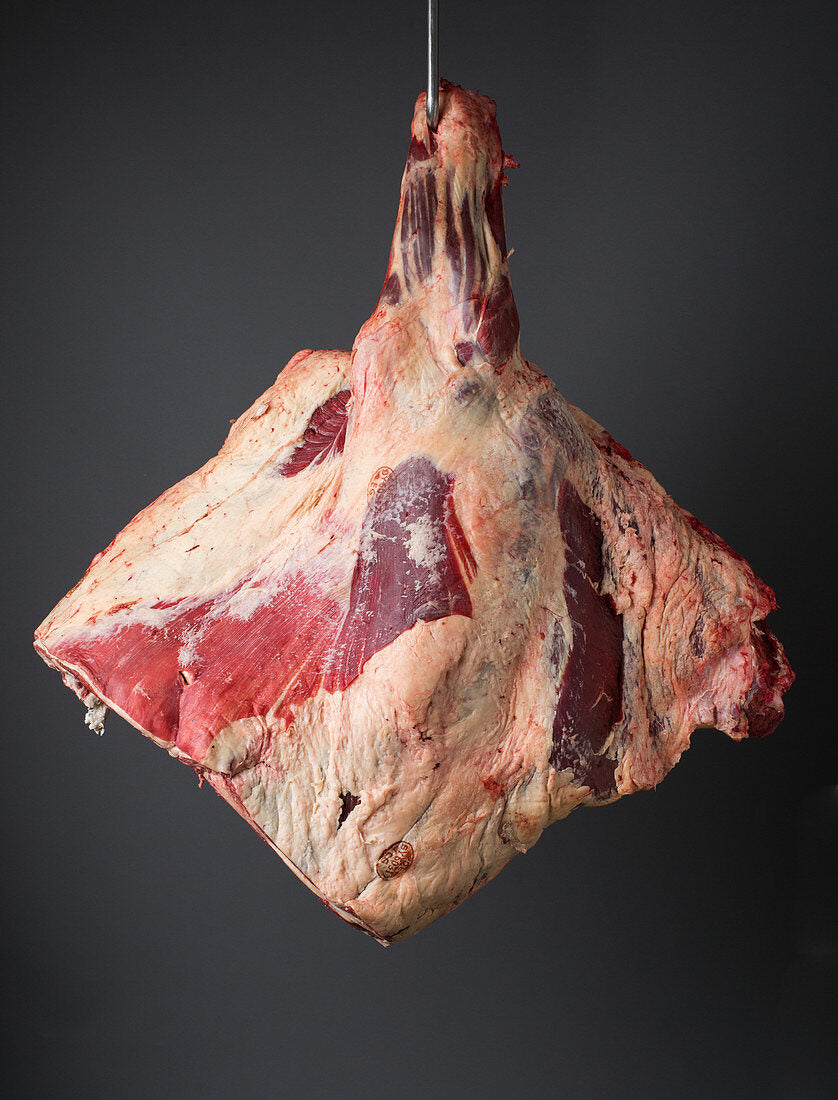 Beef FQ